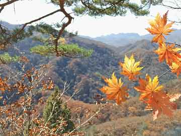 川润股份重组重塑企业架构，开启发展新篇章