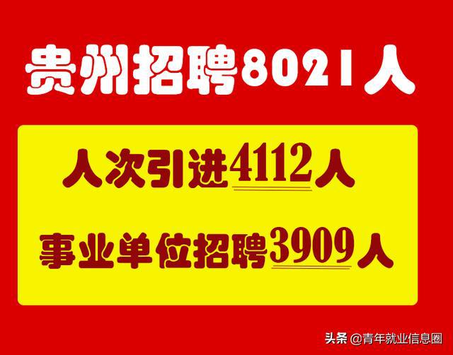 铜仁招聘网最新招聘动态深度解读与解析