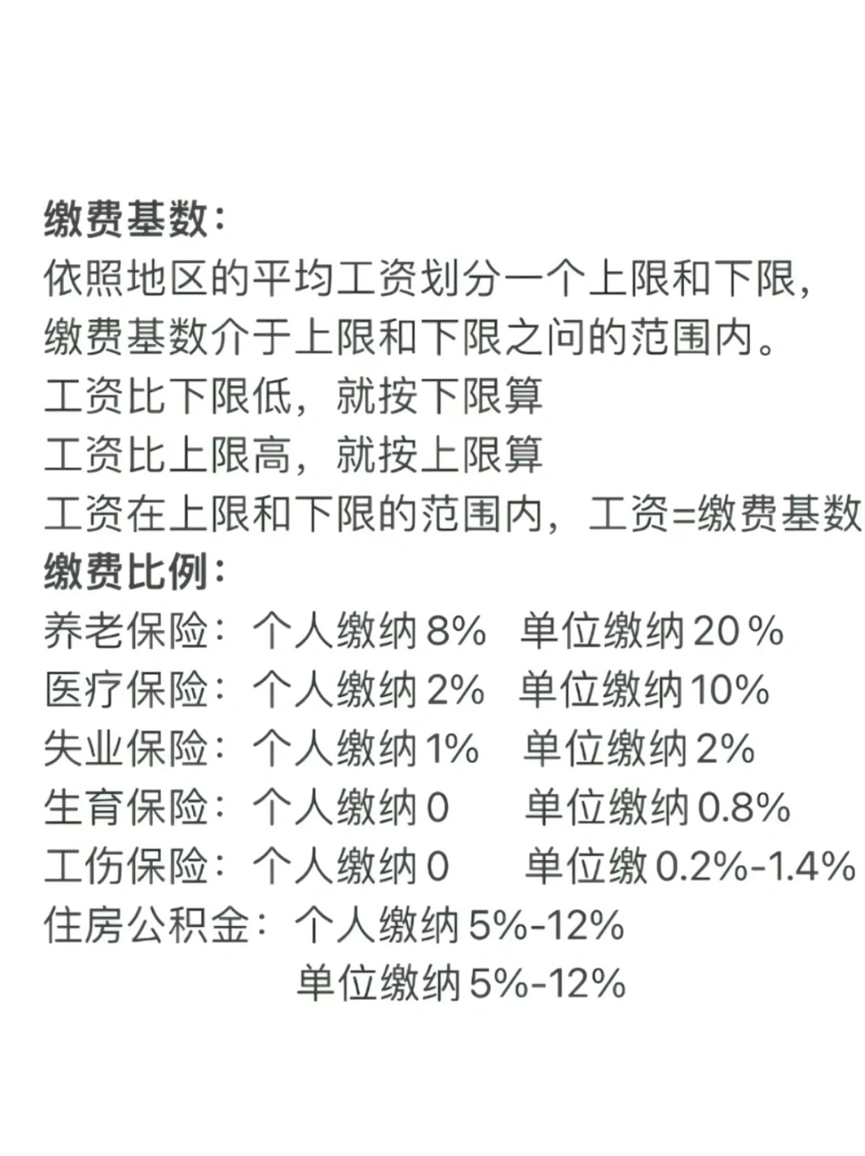 最新社保缴费比例及影响分析概览