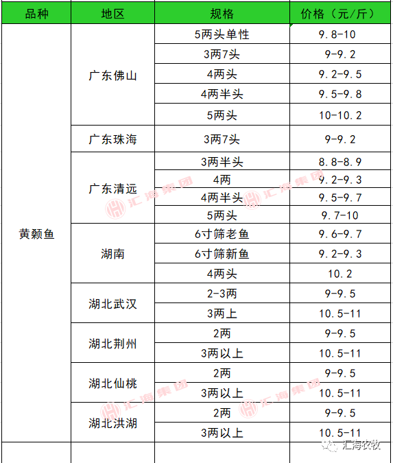 水产最新价格动态分析与行情解析