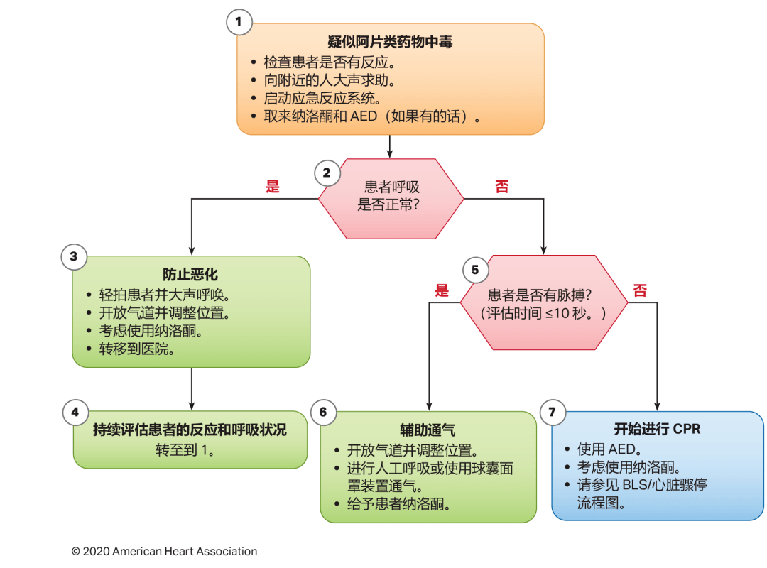 心肺复苏最新指南，拯救生命的必备手册