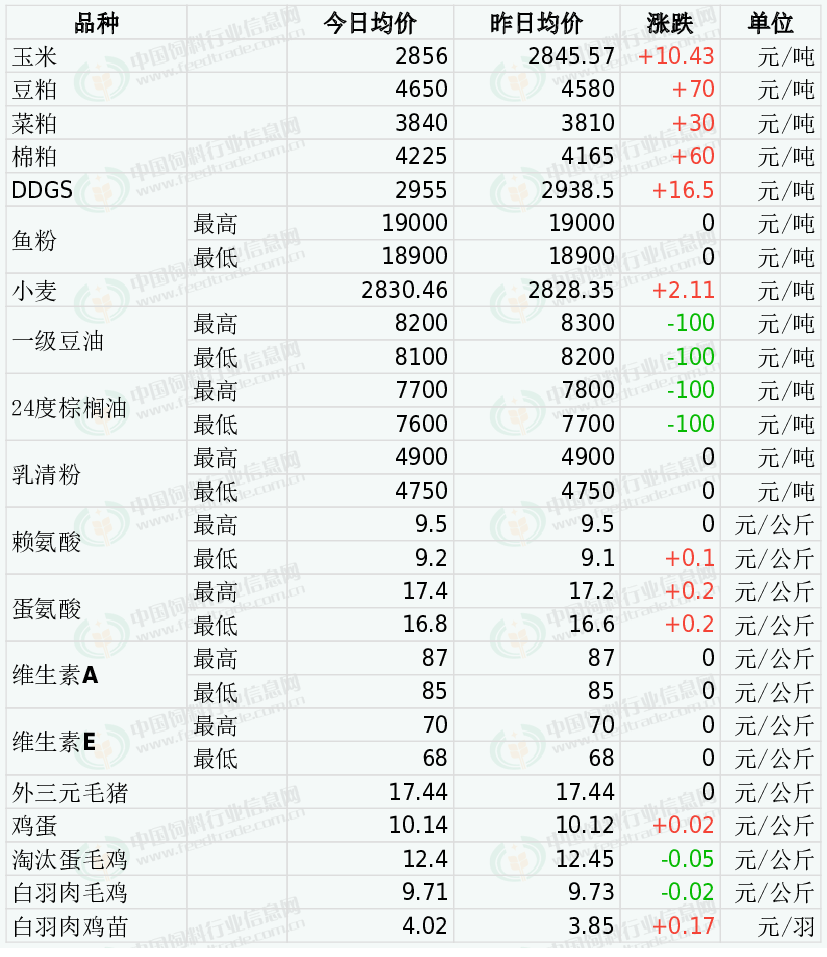 进口大豆价格最新行情深度解析