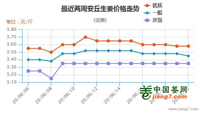 安丘生姜最新价格行情解析