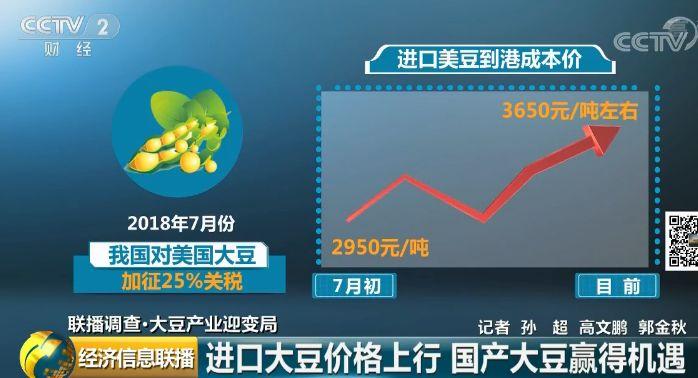 2024年11月14日 第7页