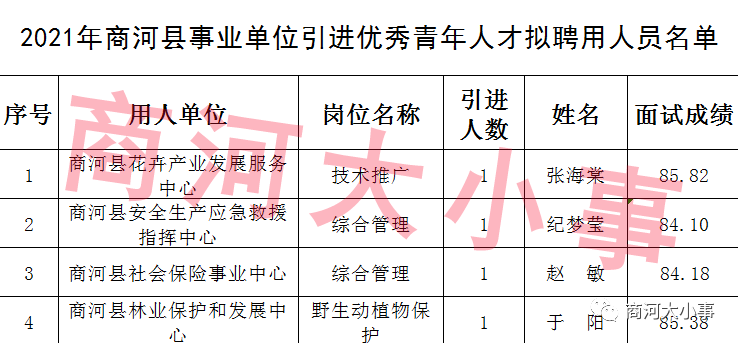 大河店乡最新招聘信息详解及概述