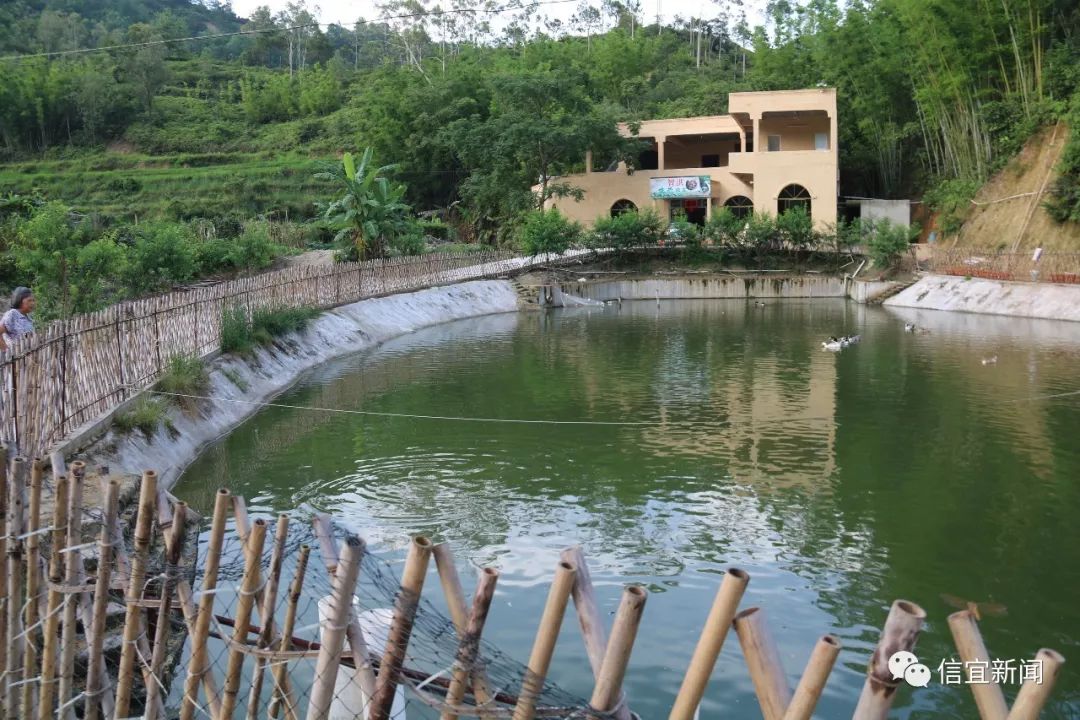 裴滩村委会新项目，重塑乡村，迈向繁荣