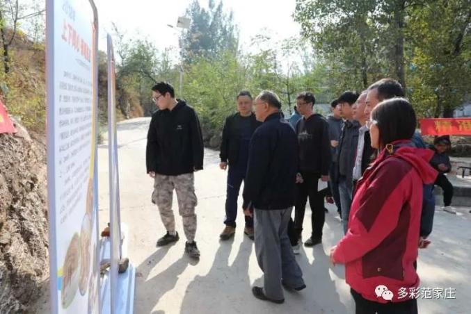 背后沟村民委员会最新动态报道