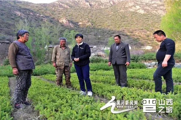 老鸦山村民委员会，现代化交通里程碑的新动态