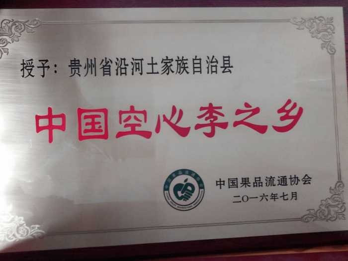 沿河乡人事新任命，开启发展新篇章