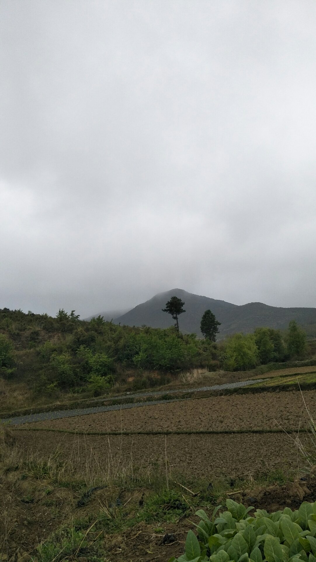 北河乡天气预报更新通知