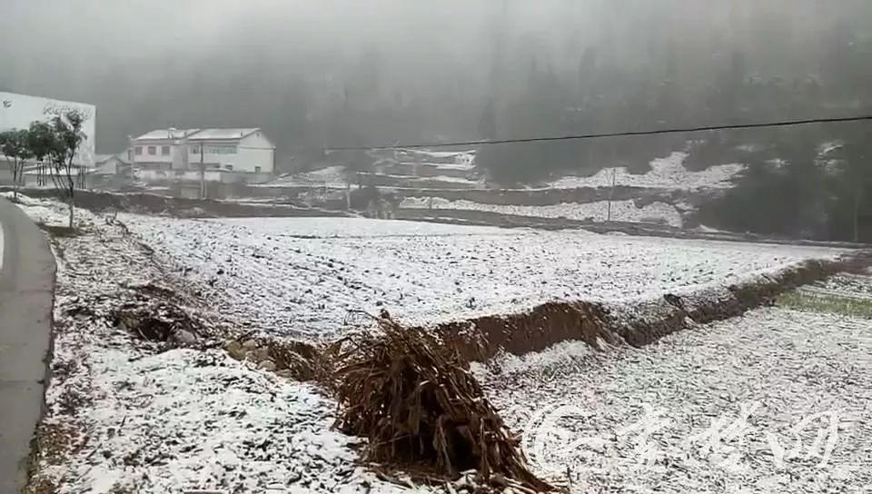 江南慕雨 第2页