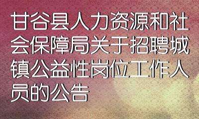 武都区人力资源和社会保障局最新招聘全解析