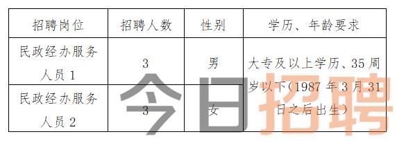 金州区民政局最新招聘信息全面解析